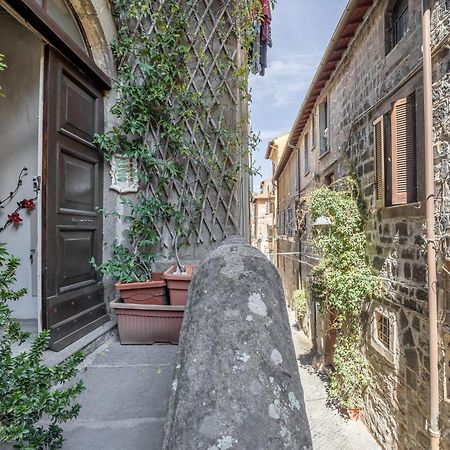 L'Alloggio Di San Pellegrino 维泰博 外观 照片